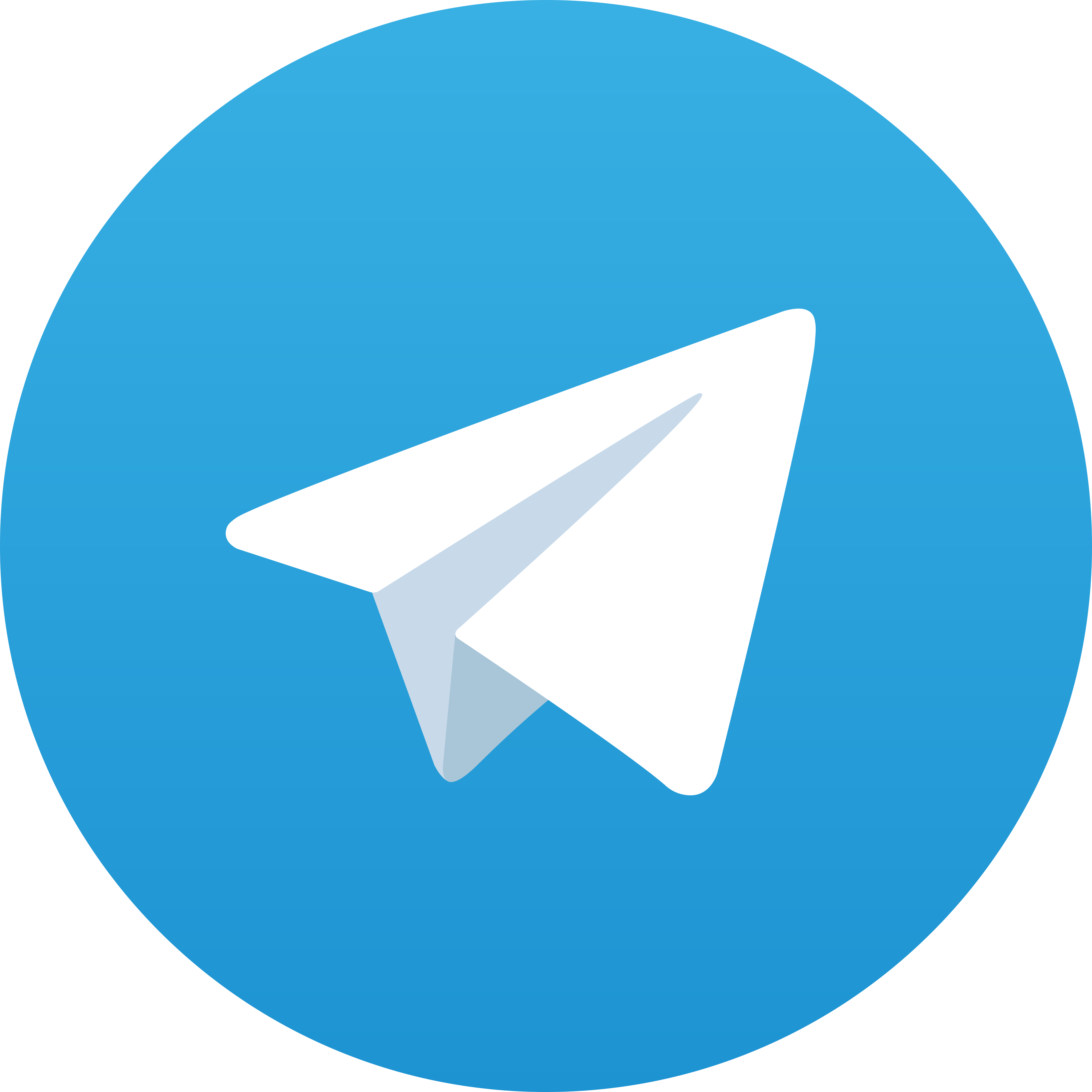 Telegram ZOOM666